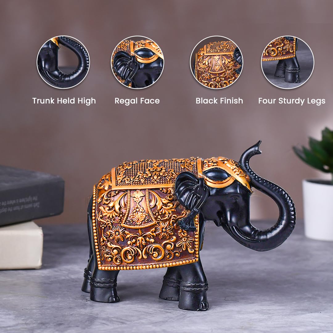 https://m.media-amazon.com/images/I/71M79LVjARL._SL1080_.jpg